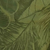 Palm Green